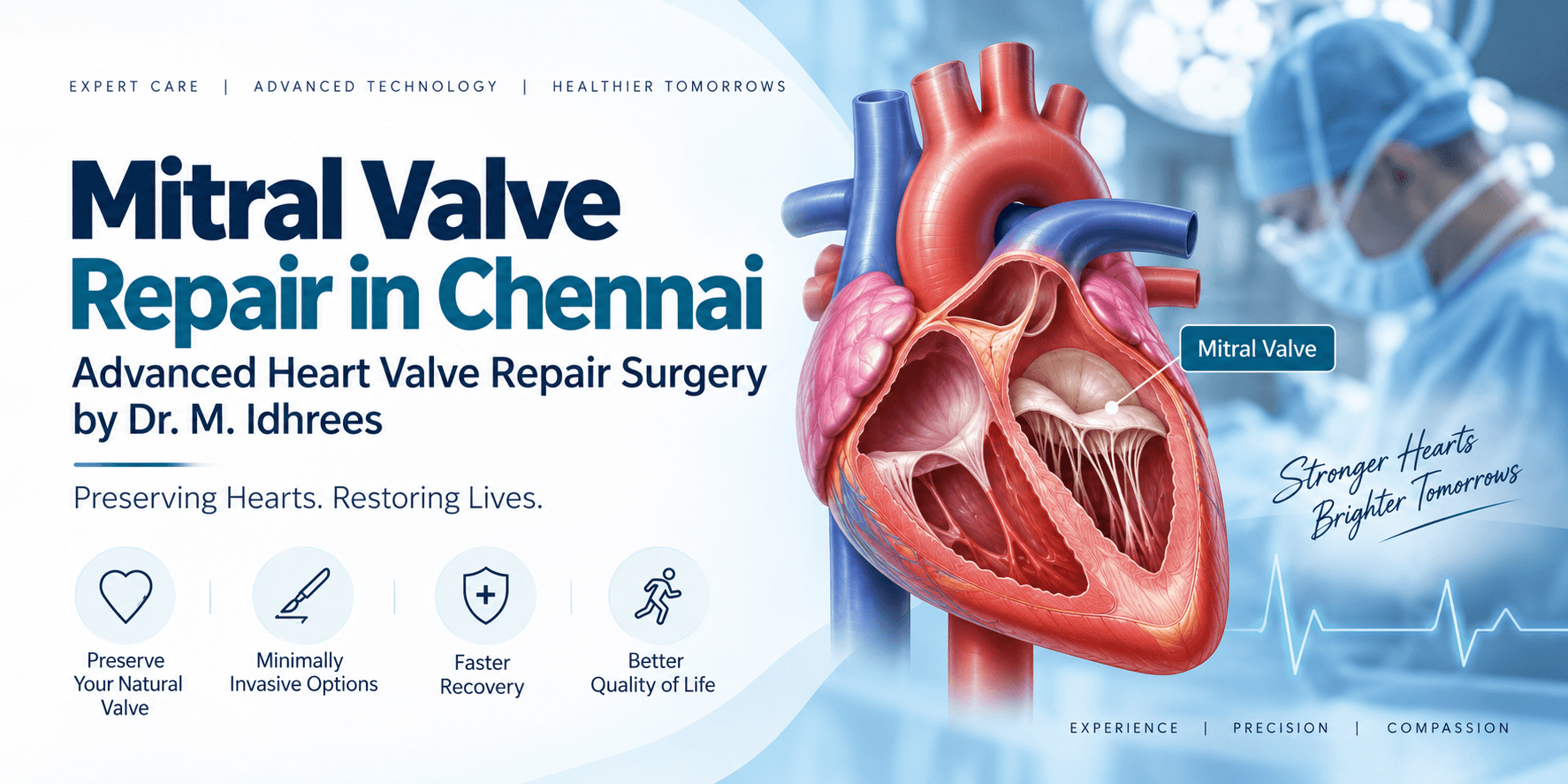Mitral Valve Repair in Chennai — a cutaway illustration of the heart with the mitral valve labelled